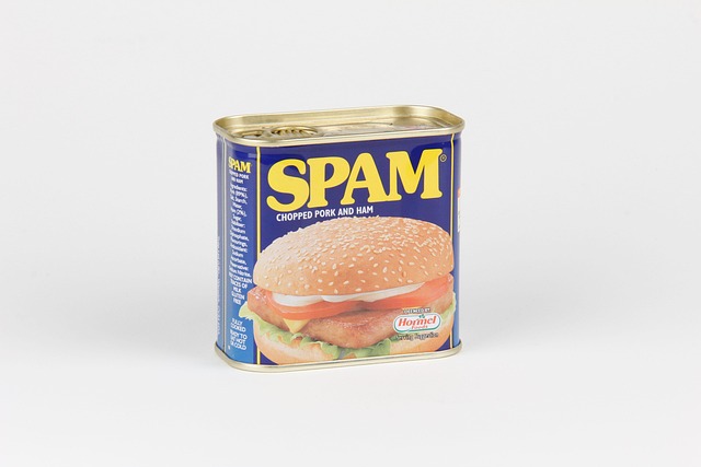 A can of spam