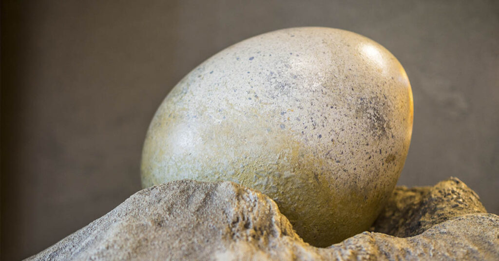 70-Million-Year-Old Dinosaur Egg Found Intact—May Contain Ancient DNA - Featured image