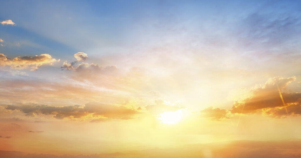 Could Solar Trees Protect Forests and Produce as Much Energy as Solar Farms? - Featured image