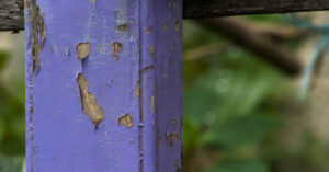 If You See a Painted Purple Fence, This Is What It Means 09182023_part03_42