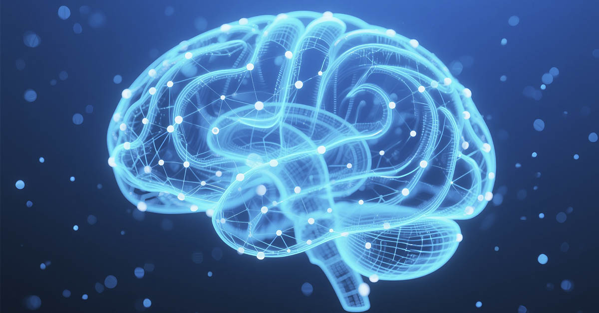 Scientists Find High-Fat Diet Could Help Maintain Brain Health