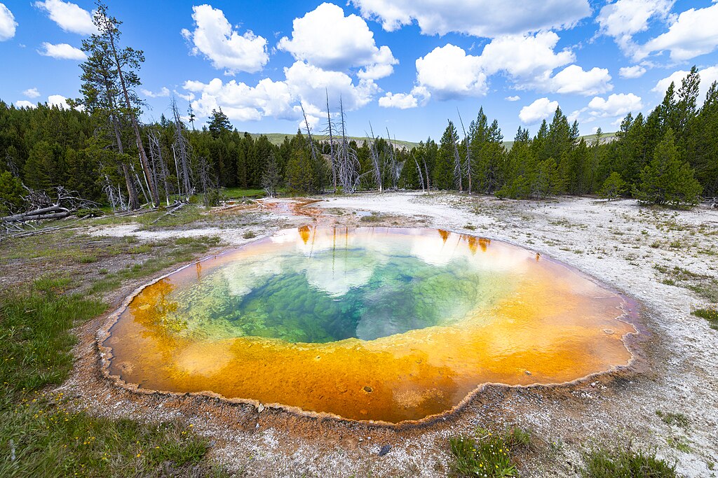 Photograph of a colorful hot spring pool with clear turquoise water in the center transitioning to yellow and orange bacterial mats at the edges, surrounded by white mineral deposits and pine forest under a blue sky with white clouds.