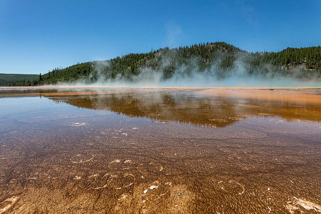 Shallow thermal pool with rust and orange bacterial mats in the foreground, circular mineral formations visible beneath the clear water, steam rising across the surface and drifting toward forested hills, with the tree line reflected in the still water under a clear blue sky.