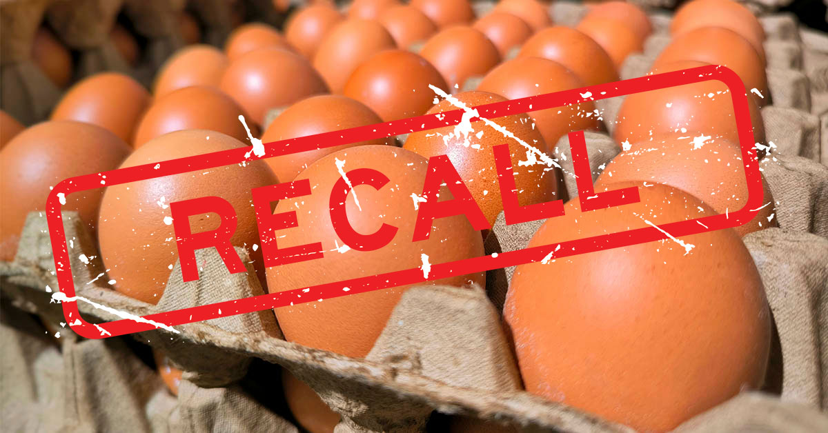 Recall Alert: Salmonella Outbreak Linked to Eggs Leaves 63 Ill and 13 Hospitalized