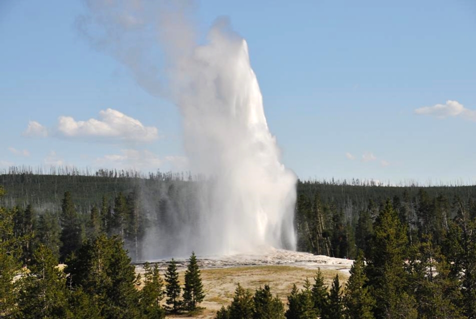 Photograph of Old Faithful geyser mid-eruption, with a tall white column of water and steam rising against a blue sky, surrounded by pine forest and the geyser's white mineral cone.