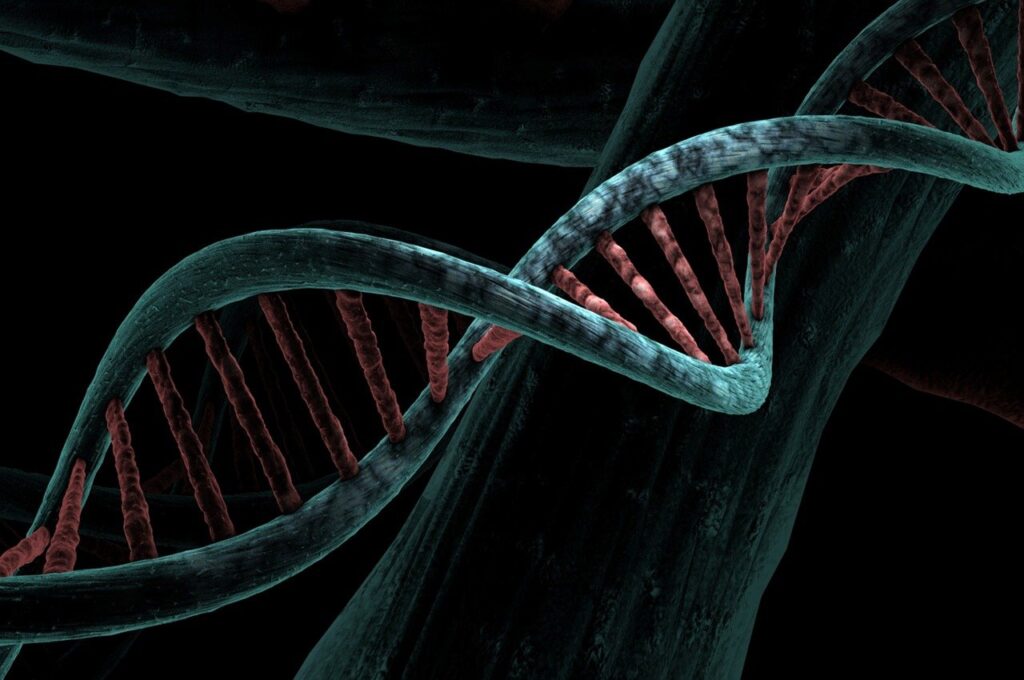 A 3D illustration of intertwined DNA double helix strands in teal and red against a black background.