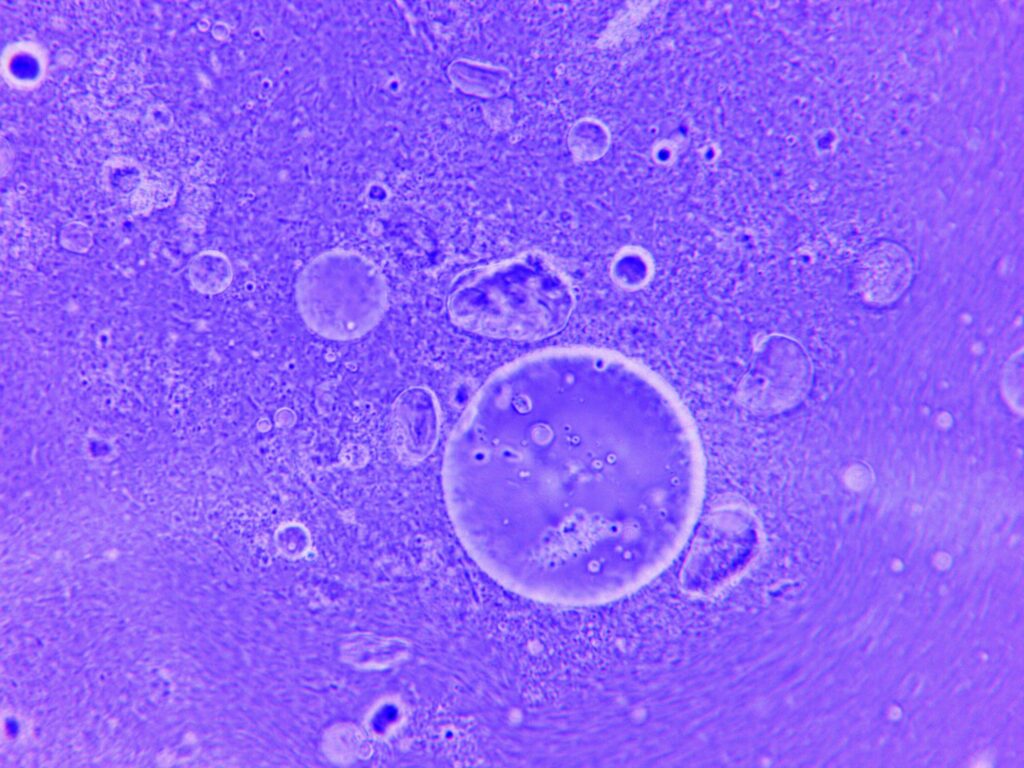 Close-up of Water Particles
