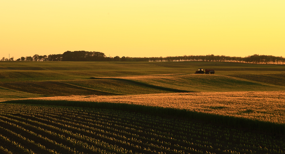 Agricultural landscape in sunset