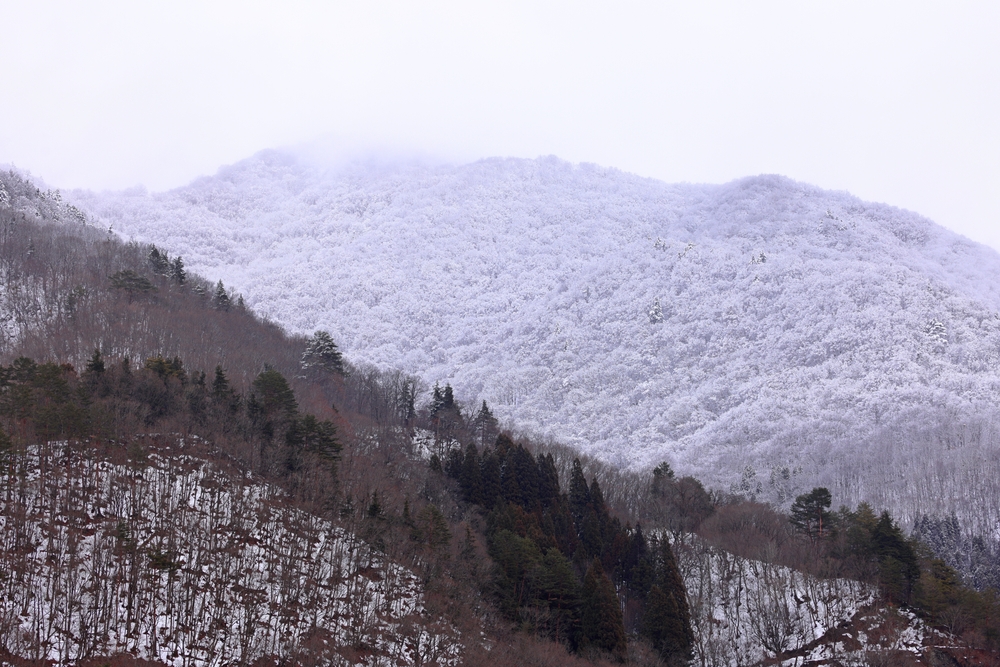 Góry w pobliżu wioski Shirakawa-go w prefekturze Gifu w Japonii