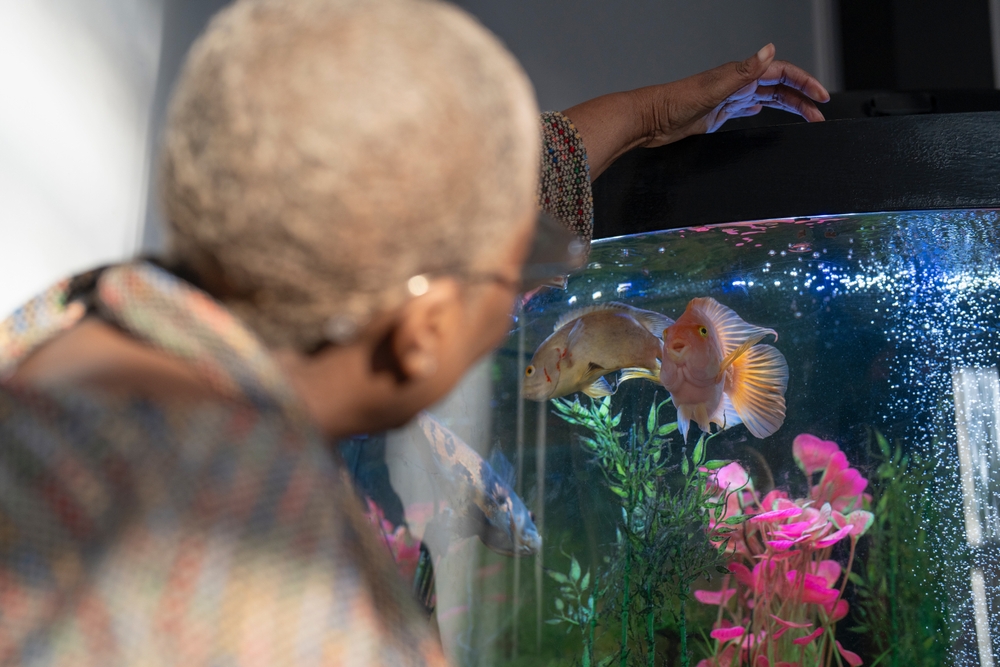 Dojrzała kobieta karmiąca ryby w akwarium