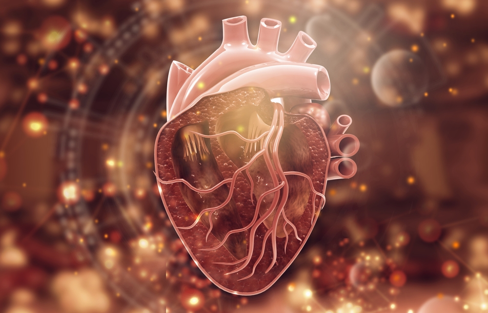 Human heart cross section anatomy on abstract scientific background. 3d illustration