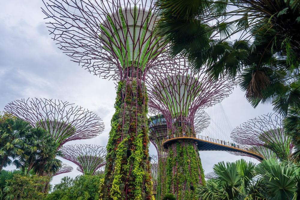 Singapore - August 3, 2025: Garden by the Bay in Singapore.