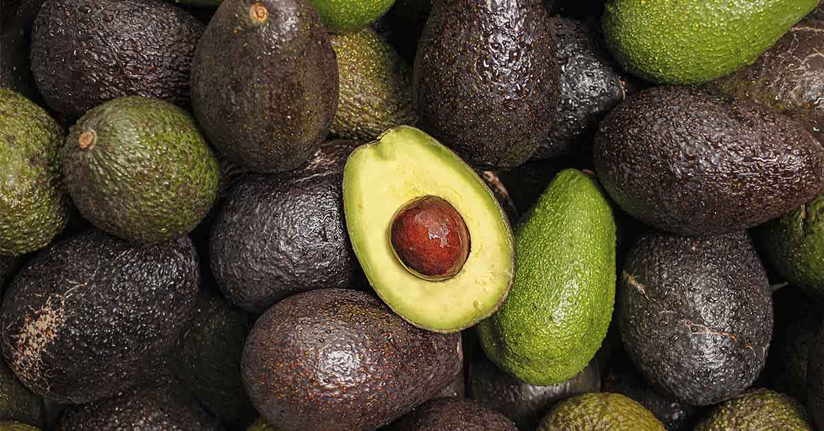 Avocado and Black Pepper for the Brain: What the Research Shows