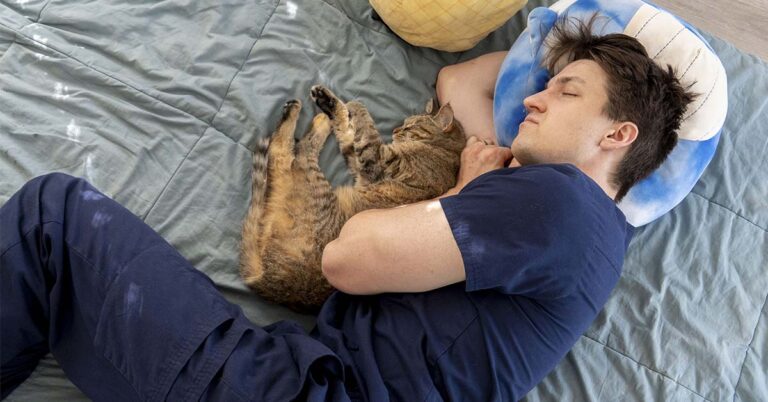 Your Cat Isn’t Just Being Cute—Here’s Why They Sleep With You - Featured image