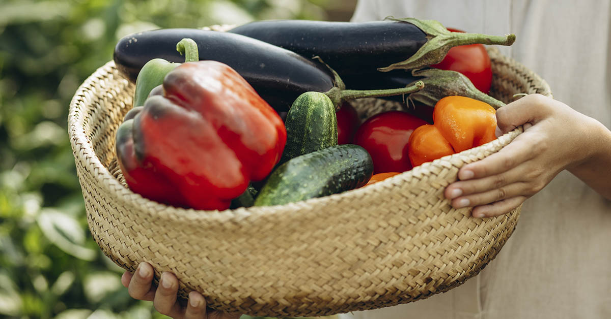 Meet the Brazilian Doctor Who Accepts Fruit and Gratitude Instead of Payment
