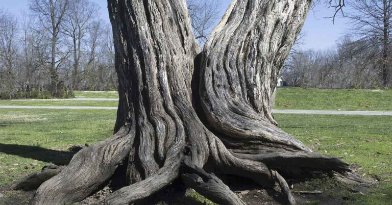 10 Ways to Know Your Souls Are Linked, Even Miles Apart - Featured image