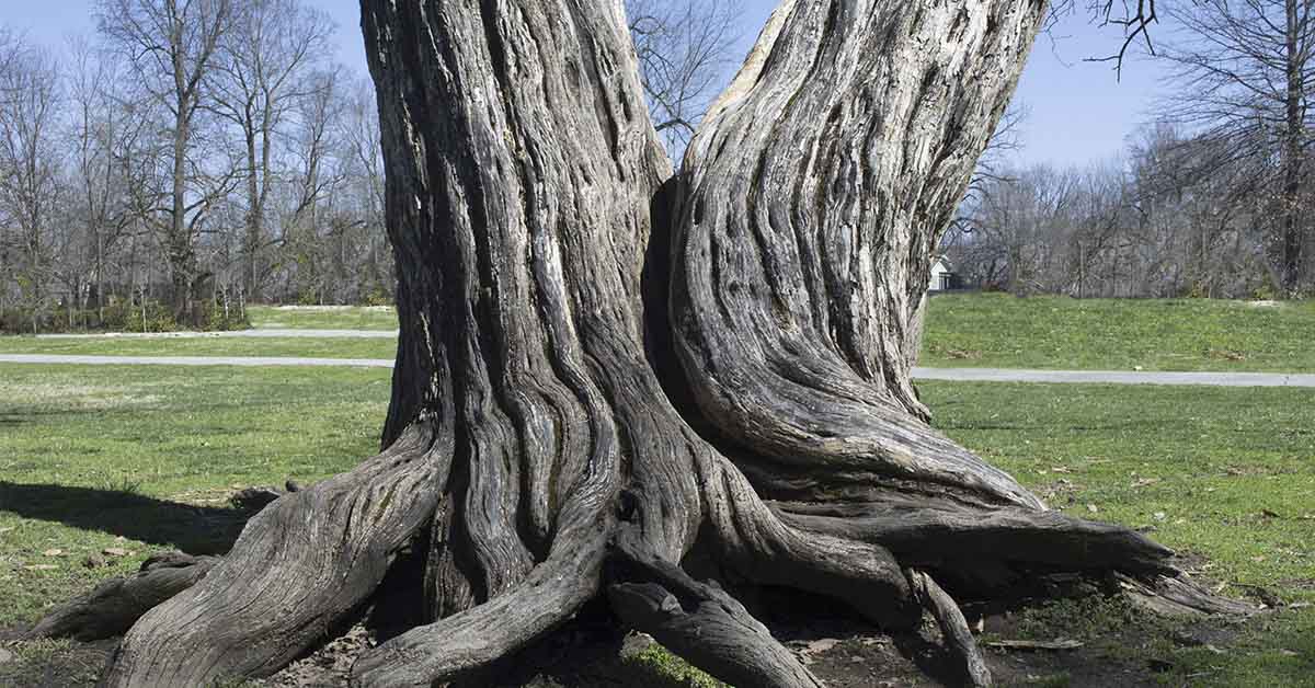 10 Ways to Know Your Souls Are Linked, Even Miles Apart