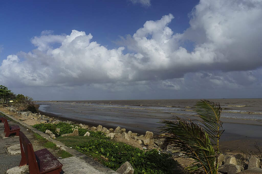 A dark earthen embankment separating cultivated land from tidal flats under a cloudy sky, with palm fronds visible in the foreground.