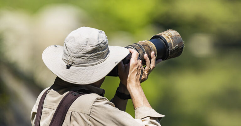 The Black Tiger of Similipal: The Photo That Made National Geographic History - Featured image