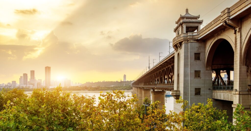 Devoted Dog Waits Four Days on Bridge After Owner Dies by Suicide - Featured image