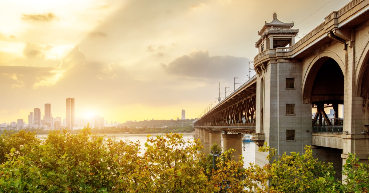 Devoted Dog Waits Four Days on Bridge After Owner Dies by Suicide