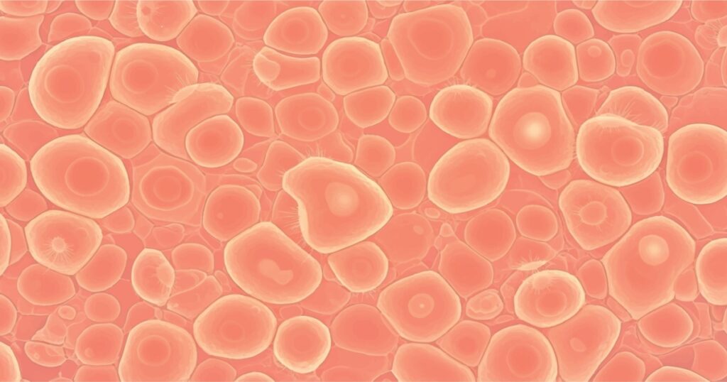 Scientists Studied Life After Death, Here’s What They Found - Featured image