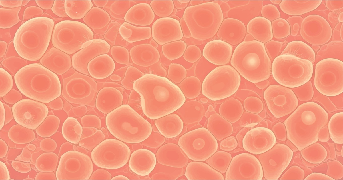 Scientists Studied Life After Death, Here’s What They Found