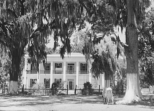 Black and white photograph of Old Jackson Plantation, Schriever, Louisiana, June 1940.