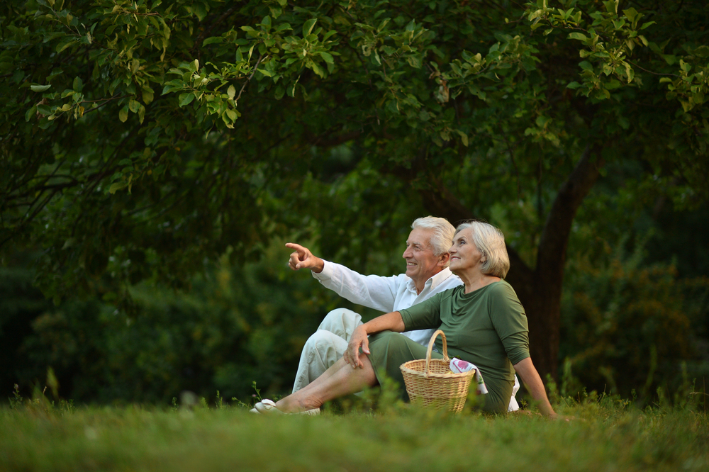 Happy senior couple outdoors
