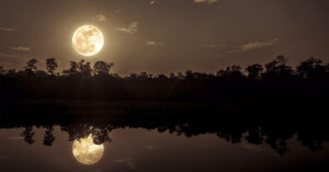 2026's Most Spectacular Moon Nights, Every Single One Listed Full moon low in sky over lake