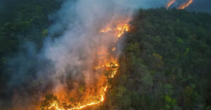 Scientists Warn Earth May Be Approaching an Irreversible ‘Hothouse’ State Forest fires seen from arial view. Global warming, climate change concept