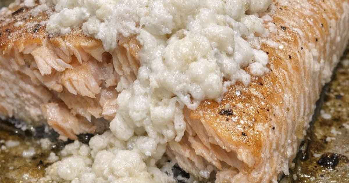 What Is That White Stuff On Cooked Salmon. What Is That White Stuff On Cooked Salmon.