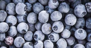 FDA Class I Alert: Frozen Blueberries Recalled Over Listeria Threat close up frozen blueberries