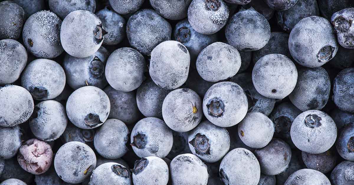 FDA Class I Alert: Frozen Blueberries Recalled Over Listeria Threat