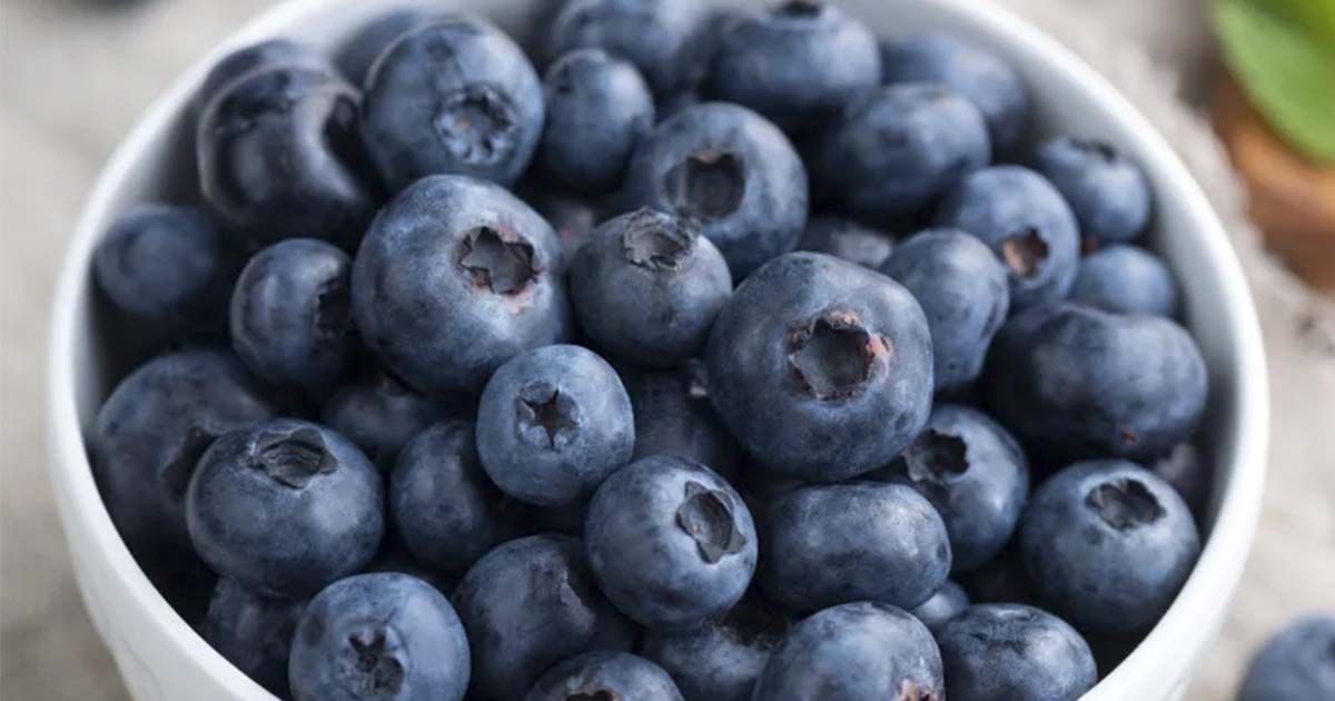 Frozen Blueberries Recalled Over Listeria Threat