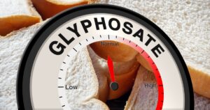 Casey DeSantis Sounds Alarm on “Triple-Digit” Levels of Weed Killer in Bread - Should You Be Concerned? glyphosate-bread-ths