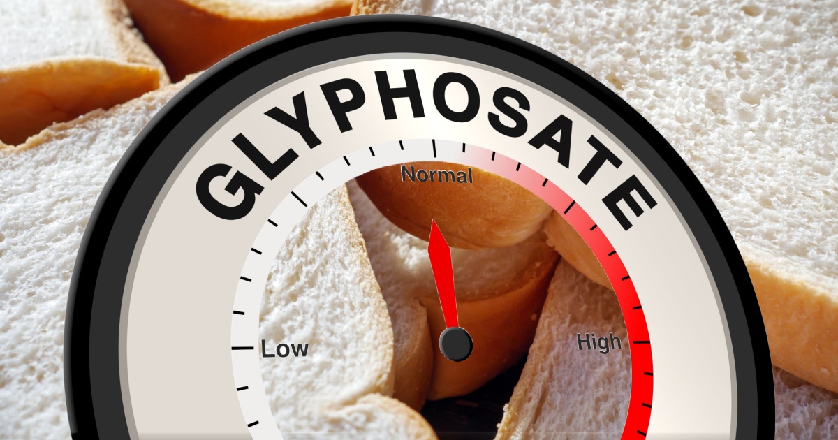 Casey DeSantis Sounds Alarm on “Triple-Digit” Levels of Weed Killer in Bread – Should You Be Concerned?