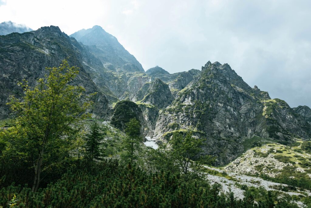 Green Trees and Mountain Under Cloudy Sky
