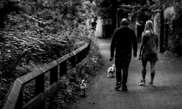 couple walking dogs in park
