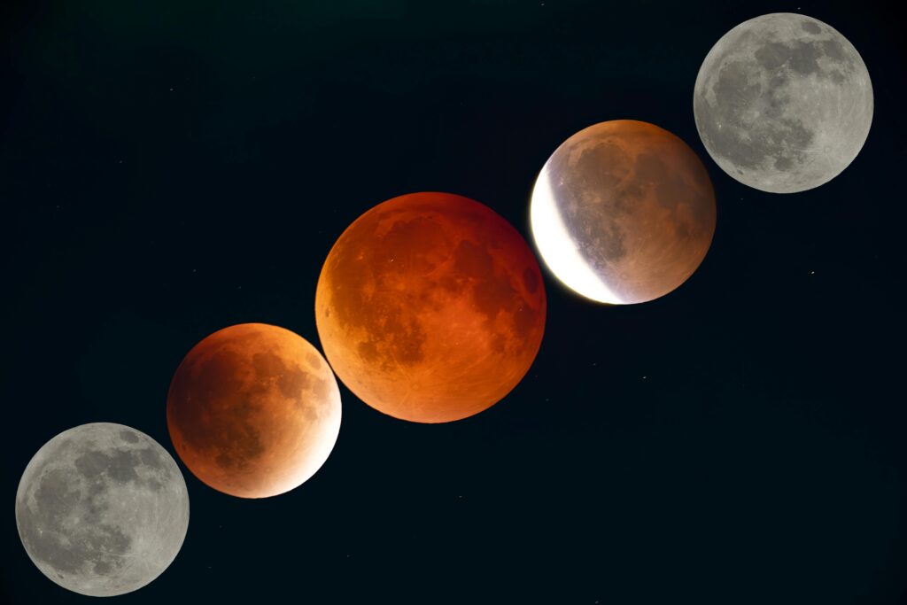 Lunar Eclipse Phases in Night Sky
