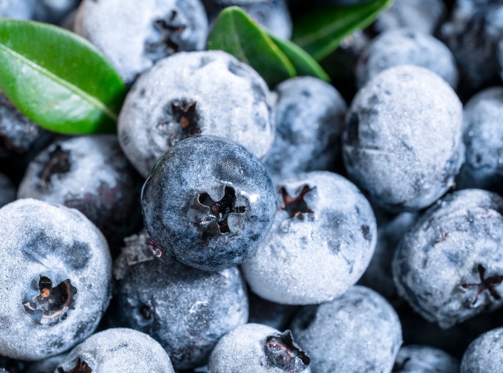 Frozen blueberry fruits, close up, top view