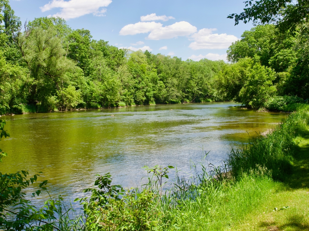 Flint River on a spring morning.  Flushing Michigan