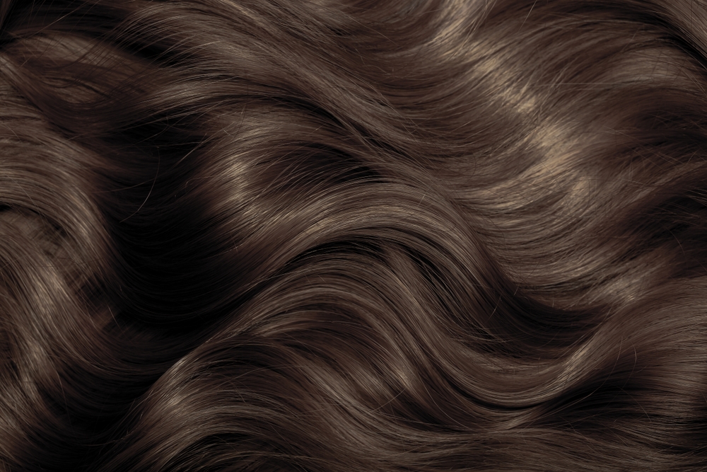 Brown hair close-up as a background. Women's long brown hair. Beautifully styled wavy shiny curls. Hair coloring. Hairdressing procedures, extension.