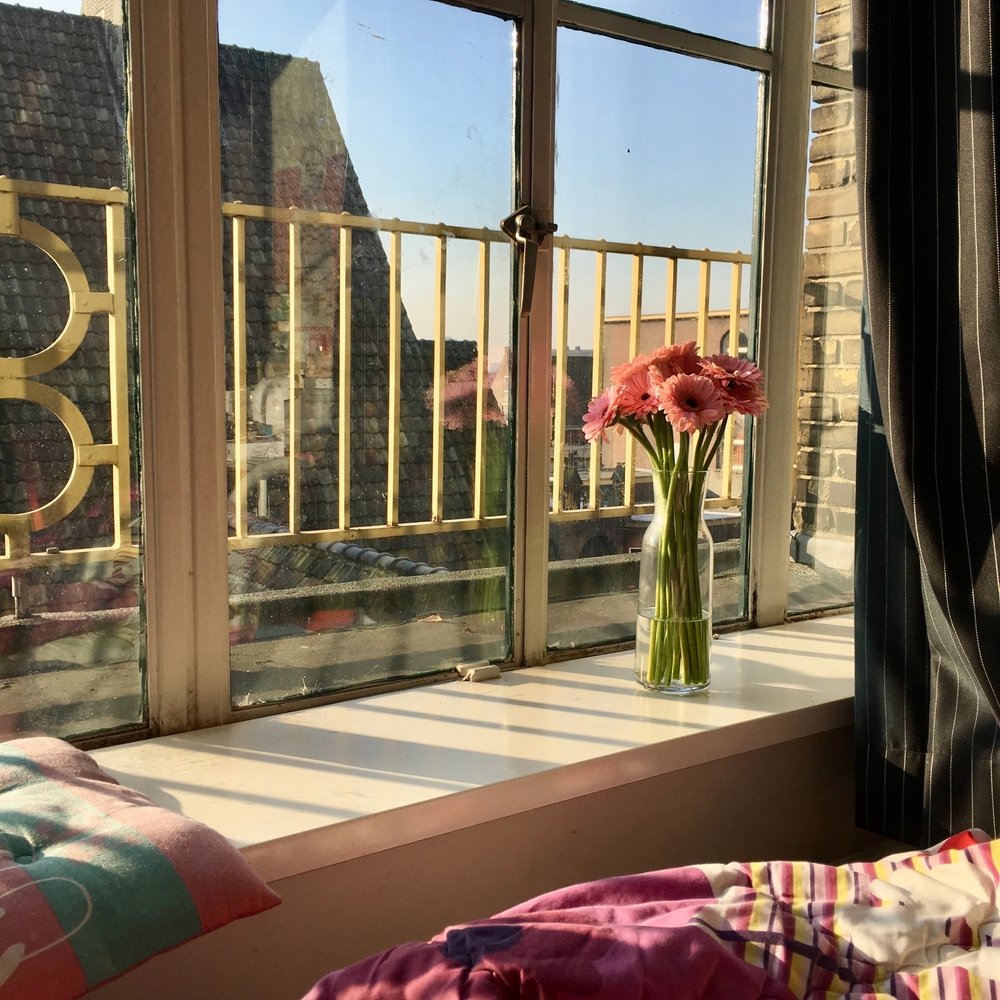 Sunlight streams through a window, illuminating a vase of pink flowers on the windowsill, creating a serene and cozy atmosphere in a bedroom setting.