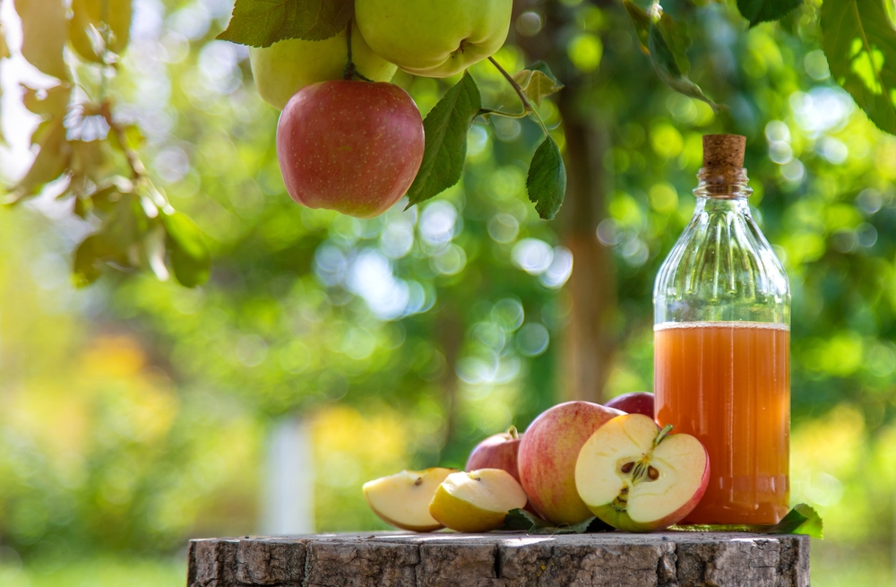 Apple cider vinegar in the garden. Selective focus. Food.