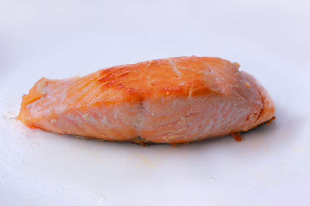 grilled salmon on a white background