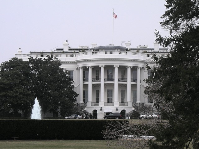 The White House, Washington DC