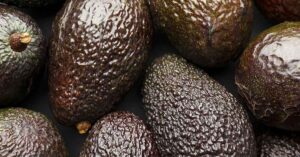 Close up of various avocados, showing skin texture
