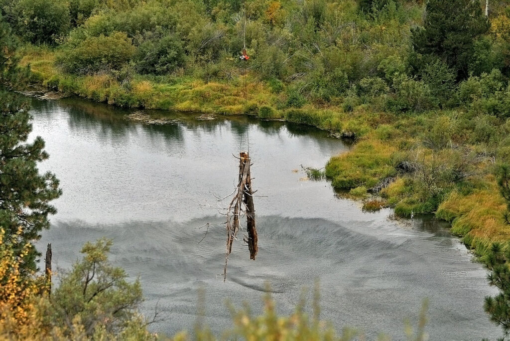 A large log suspended by a cable is being airlifted over a calm river, with its rough, stripped bark and jagged branch stumps visible as it hangs above the water. The riverbanks are lined with dense green shrubs and trees, and the surrounding hillside is covered in mixed vegetation.