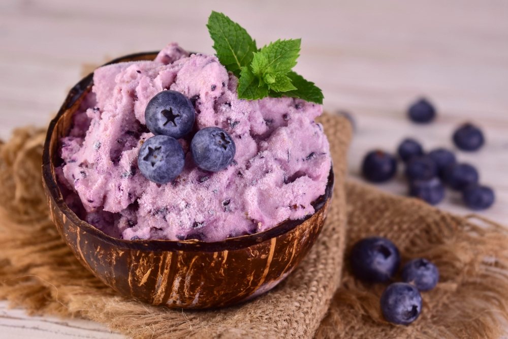 Homemade blueberry ice cream with coconut shell.Close-up.
